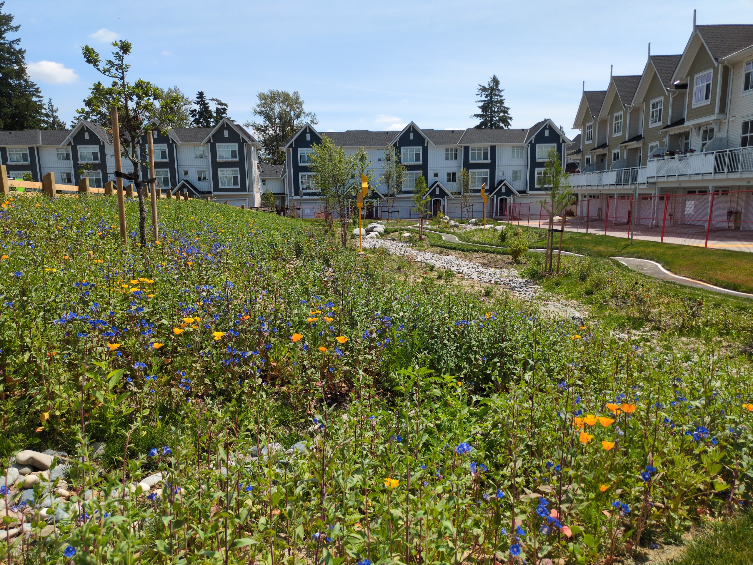 A paved scooter track winding through a wildflower meadow and bioswale on a hill